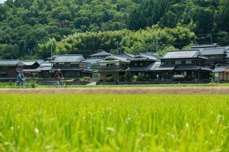 篠山城下町ホテル NIPPONIA サイクリングガイドツアーリクエストプラン ペア宿泊券(2食付) | 兵庫県 丹波篠山市 グルメ 自然 豊か 文化 美しい 篠山城跡 街並み まちなみ 城下町 趣 非日常