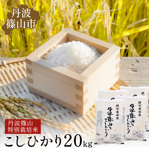 令和7年産 丹波篠山産 特Aランク特別栽培米 こしひかり 20kg 西の魚沼と呼ばれる 丹波篠山 コシヒカリ!白米[100%単一原料米]産地直送 贈答 おいしい お米 精米 コシヒカリ 米20 キロ ブランド おこめ 健康 お試し ギフト 内祝い 贈り物 