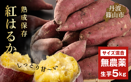 ys\z܈@g͂邩@TCY@5kg ܂ Tc}C ܈ Â zNzN Ă Ĉ Ă   ˂Ƃ VՂ |eg ؃Zbg H@