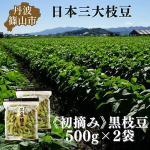 秋の味覚「丹波黒枝豆」 フレッシュな甘み・500g×2袋 初摘み [2025年10月6〜13日頃お届け予定] 