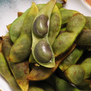 [令和7年産]丹波篠山産 川北黒大豆枝豆 500g × 2袋(枝なし) | 兵庫県 丹波篠山市 プレミアム枝豆 期間限定 黒枝豆 えだまめ エダマメ お取り寄せグルメ 高級 特産品 名産品 おつまみ おうち居酒屋