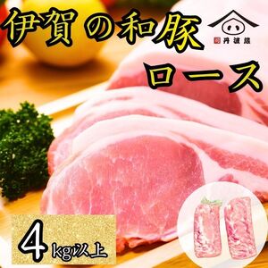 ɉ̘a [XubN 4kg  | ؓ Y [X ubN Y X  n̓ ґ O   uߕ Xe[L [Xg Ƃ񂩂 ubNȂ̂ 󂠂