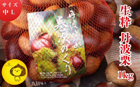 [2025年10月中旬より発送]生粋丹波栗 巻次のくり 中 L 1.0kg | プレミアム栗 期間限定 お取り寄せグルメ 高級 特産品 名産品 マロン 関西 西日本