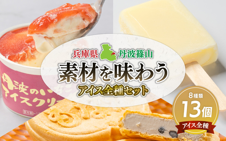 丹波篠山 素材を味わうアイスクリーム アイス全種セット 13個(8種類) | 兵庫県 丹波篠山市 アイスクリーム 濃厚 滑らか コク ご当地 パーティ アレンジ