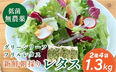 無農薬 朝採り フリルレタス グリーンリーフレタス 2種類 4袋 1.3kg 