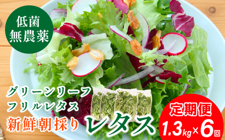 y  z _ ̂ t^X O[[t^X  2 1.3kg 6 | ^X 킸ɐHׂ VN^X  _ ؒ tbV T_p Nu Yn  