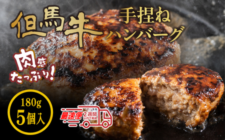 但馬牛使用 合挽 自家製ハンバーグ デミグラスソース付き180g×5個 小分け 加熱前 未加熱 おいしいハンバーグ グルメハンバーグ 高級ハンバーグ ハンバーグ 小分け 冷凍 肉 ギフト 大容量