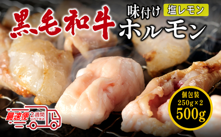 国産黒毛和牛 タレ漬けホルモンミックス塩レモン 250g x 2袋 おいしいホルモン グルメホルモン やっぱりホルモン ホルモン 焼肉用 肉 小分け 冷凍 ギフト 大容量