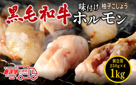 国産黒毛和牛 タレ漬けホルモンミックス柚子胡椒250g x 4袋 おいしいホルモン グルメホルモン やっぱりホルモン ホルモン 焼肉用 肉 小分け 冷凍 ギフト 大容量