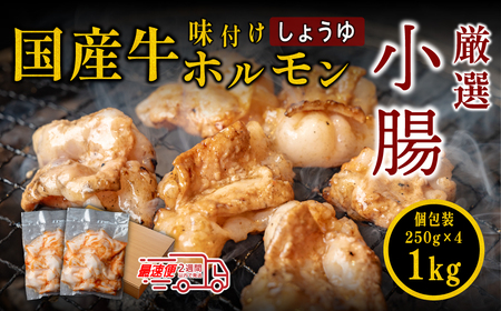 小腸セット 特製自家製しょうゆダレ漬け 250gx4袋 1kg おいしいホルモン グルメホルモン やっぱりホルモン ホルモン 焼肉用 肉 小分け 冷凍 ギフト 大容量