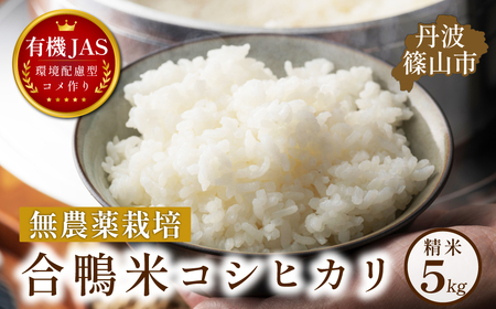 合鴨米 有機JAS認定 無農薬栽培 コシヒカリ 精米 5kg 丹波篠山 お米 米 コメ こめ こしひかり 安全・安心 有機栽培 無農薬 有機JAS 農家直送 あいがも 合鴨農法 [DDN01]