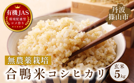 合鴨米 玄米 有機JAS認定 無農薬栽培 コシヒカリ 玄米 5kg 丹波篠山 お米 米 コメ こめ こしひかり 安全・安心 有機栽培 無農薬 有機JAS 農家直送 あいがも 合鴨農法 [DDN06]