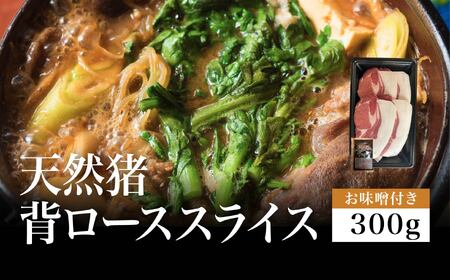 y2025N11菇zVR@w[XXCX@300gpbN@Xti1j | Ɍ OgRs  YMD003