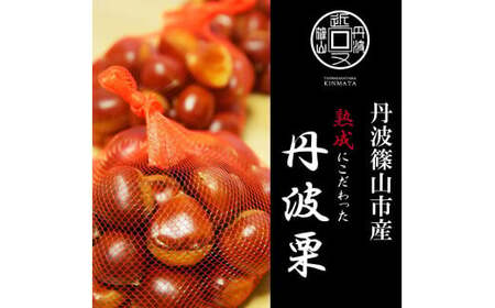 ߘa7NY OgRY OgI Lȏ㍬ 1kg@2025NY Ɍ OgRs v~AI Ԍ 񂹃O  Yi Yi } BA39