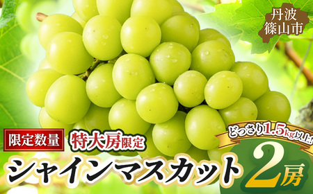 【早期予約限定】シャインマスカット 丹波篠山産 大粒だけ 〈2房・1.5kg以上〉シャインマスカット [PAK02]