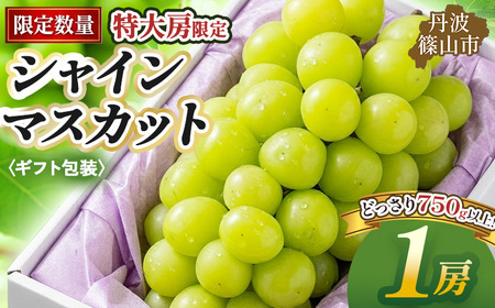[早期予約限定]シャインマスカット 丹波篠山産 大粒だけ [ギフト1房・750g以上] シャインマスカット[PAK01]