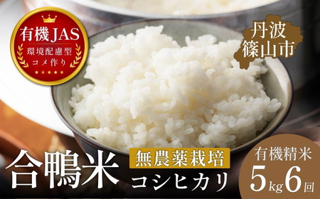 令和8年産[6回定期便]コシヒカリ 5kg 精米 無農薬 コシヒカリ