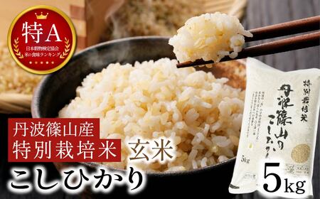 令和7年産 丹波篠山産 コシヒカリ 玄米 5kg 特A 特別栽培米 [AQ110-2601]