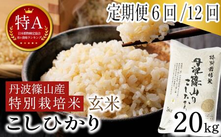 [定期便12回] 玄米 特別栽培米コシヒカリ 特A 丹波篠山産 20kg [SUBSC-AQ112Y-2601]