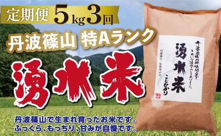 定期便 お米 特A 湧水米コシヒカリ[ 5kg 3回 ]定期便