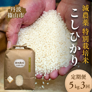 [定期便]丹波篠山市 コシヒカリ 特別栽培米 5kg×3回 令和7年産 こしひかり