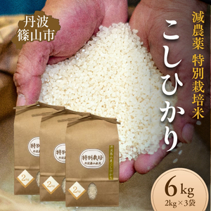 丹波篠山 コシヒカリ 特別栽培米 2kg×3 令和7年産 コシヒカリ