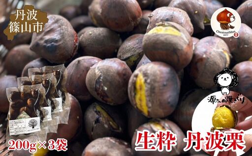 2025年産 生粋丹波栗 源さんの焼きぐり Chestnut Man1977(200g×3袋) | プレミアム栗 期間限定 お取り寄せグルメ 高級 特産品 名産品 マロン 関西 西日本