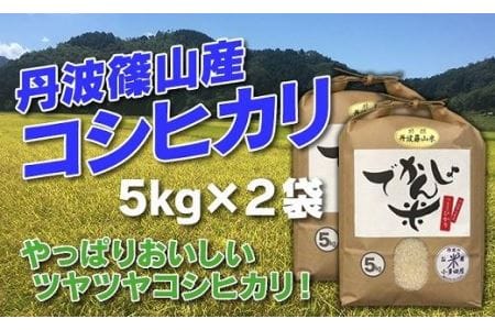 [令和7年産米 2025年9月以降順次発送]お米のおいしさ伝えたい!丹波篠山産コシヒカリ5kg×2 白米 100%単一原料米 産地直送 贈答 おいしいコシヒカリ お米 精米 ブランド おこめ 健康 ギフト 内祝い 贈り物 送料無料 おすすめ 人気 口コミ 銘柄米 [AD17]