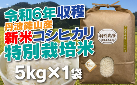 令和6年新米！抜群の味と香り 特別栽培米 丹波篠山産コシヒカリ