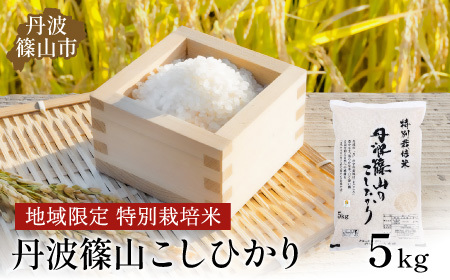 ※令和6年 新米予約※丹波たぶち農場の特別栽培米こしひかり5kg AQ24-24