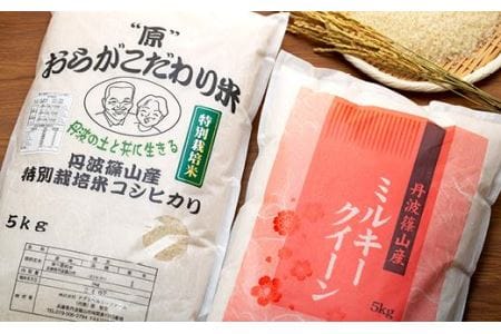 新米 R6年産 丹波篠山産特別栽培コシヒカリ白米5kg R6年産 丹波篠山産特別栽培ミルキークイーン白米5kg