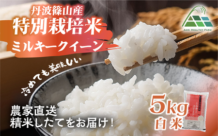 [令和7年産 2025年9月以降順次発送]丹波篠山産特別栽培ミルキークイーン白米5kg BE04 兵庫県 丹波篠山市 白米 100%単一原料米 産地直送米 贈答 おいしい お米 精米 ブランド おこめ 健康 ギフト 内祝い 贈り物 送料無料 おすすめ 人気 口コミ