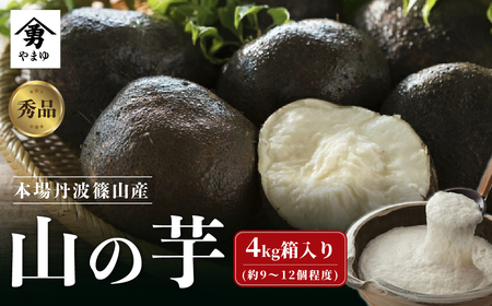 �y�O�g�R�Y�z �O�g�R�Y �R�̈�  �i�G�i 4kg���j �R�� E012