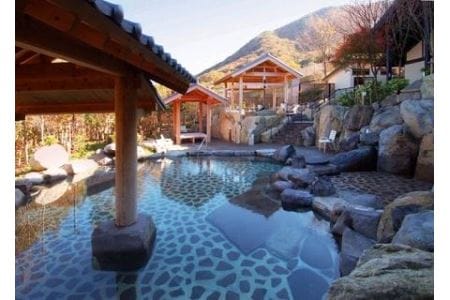 こんだ薬師温泉 入浴券 5枚 K021-23 兵庫県 丹波篠山市