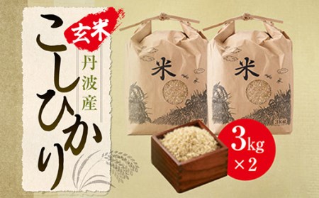 【玄米】丹波産こしひかり玄米《令和6年度産》3㎏×2 Q003