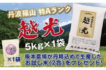 令和6年産 丹波篠山産 特Aランク 越光 (5kg×1袋)