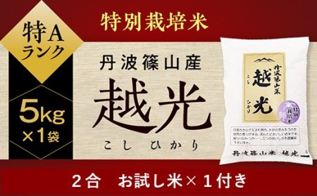 丹波篠山産 特Aランク 特別栽培米 越光(5kg×1袋)