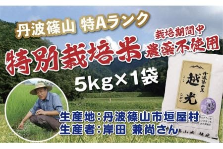 令和6年産 丹波篠山産 特別栽培米 越光(農薬不使用)(5kg×1袋)