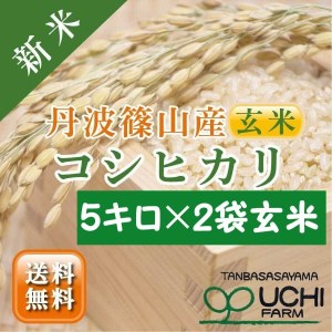 令和6年産 新米！　丹波篠山の大地で育まれたコシヒカリ　玄米10kg DP02