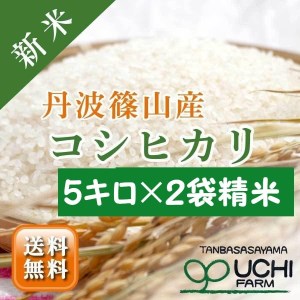 丹波篠山コシヒカリの返礼品 検索結果 | ふるさと納税サイト「ふるなび」