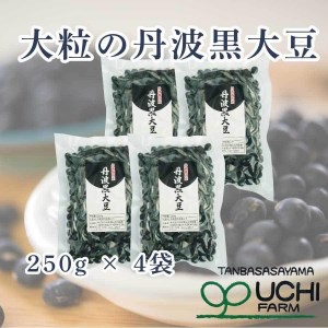 【令和6年産】丹波篠山産 丹波黒大豆　特大サイズ DP05 黒豆 丹波黒 おせち用 煮豆 グルメ 高級 ブランド