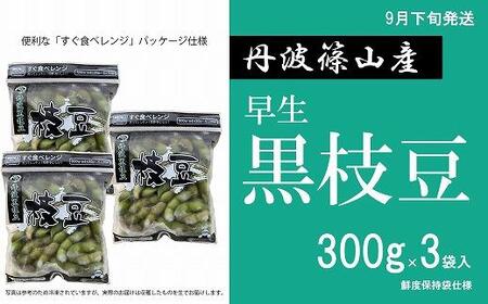 [9月下旬発送]早生丹波黒枝豆300g×3(枝なし) Q021 プレミアム枝豆 日本三大 丹波篠山黒 大粒 丹波 黒豆 丹波黒 黒大豆 濃厚 美味しい 旬 ご当地 お取り寄せ グルメ 