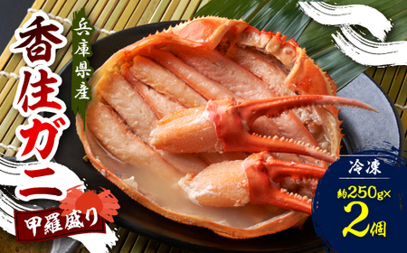 香住ガニ 甲羅盛り 約250g×2個[配送不可地域:離島]