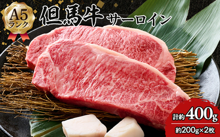 但馬牛 A5 サーロイン 2枚[配送不可地域:離島]