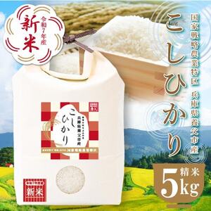 _Ɠ敺Ɍ{sYЂ5kgy1666285z