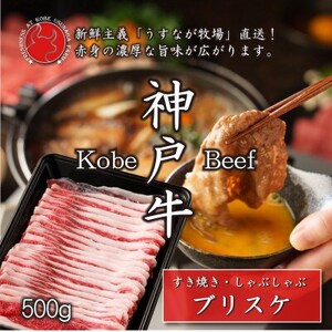 _ˋuXPXCX500gyȂqzFU002yzsnFzy1638841z