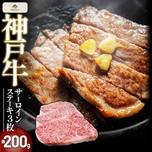 FS70_ˋT[CXe[L@3(e200g)yzsnFzy1671525z