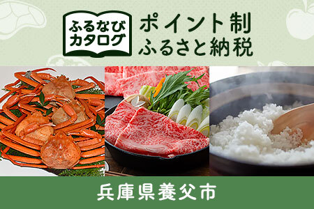 【有効期限なし！後からゆっくり特産品を選べる】兵庫県養父市カタログポイント