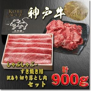 _ˋ ĂE؂藎ƂZbg v900g YBS3 y2026N4菇zyzsnFzy1681981z