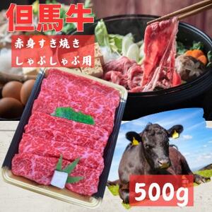 但馬牛 赤身スライス(モモ・肩部位)500g[配送不可地域:離島]